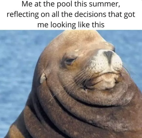 20 Summer Memes To Laugh At