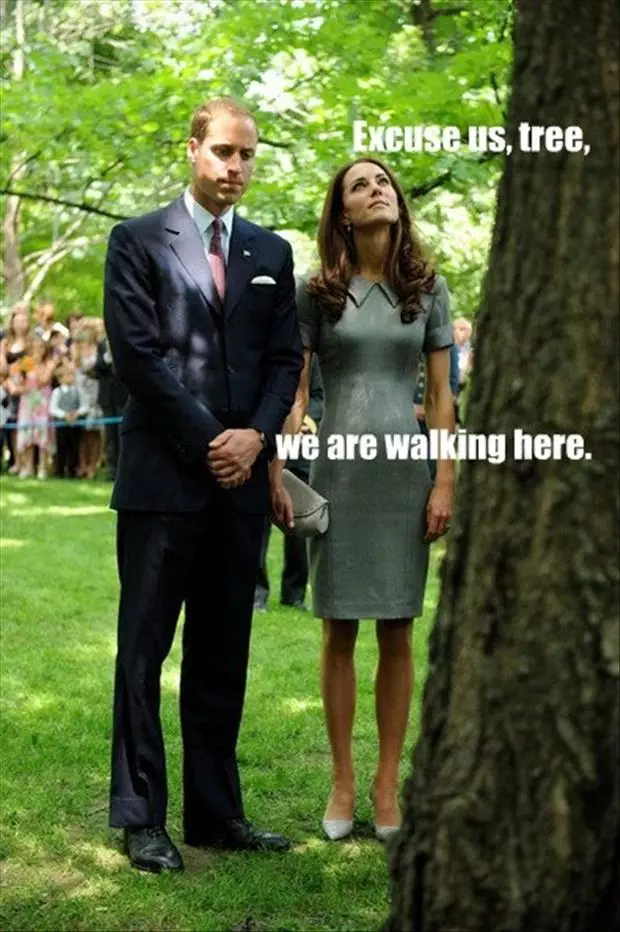 Royal-Family-Meme-Tree Funny Royal Family Memes