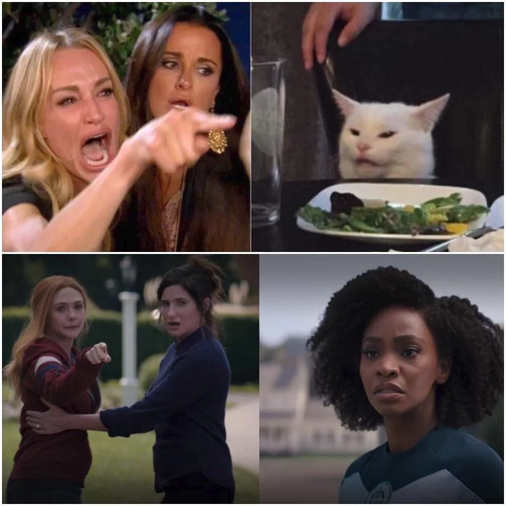 Wandavision-Meme-Cat-Woman Hilarious Wandavision Memes