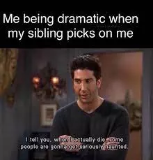 Funny Sibling Memes