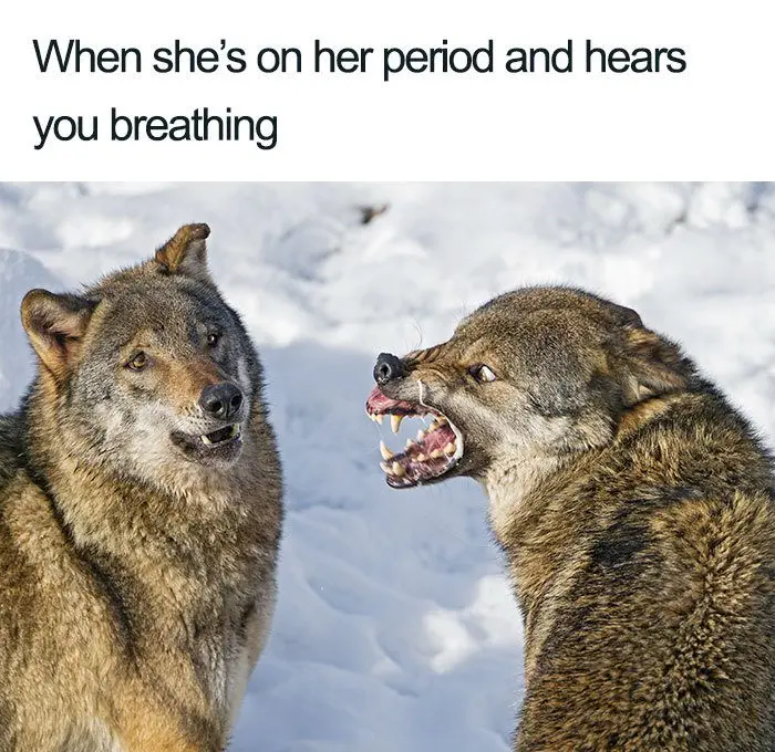 20 Hilarious Relationship Memes To Share With Your Partner 20 Hilarious Relationship Memes To Share With Your Partner