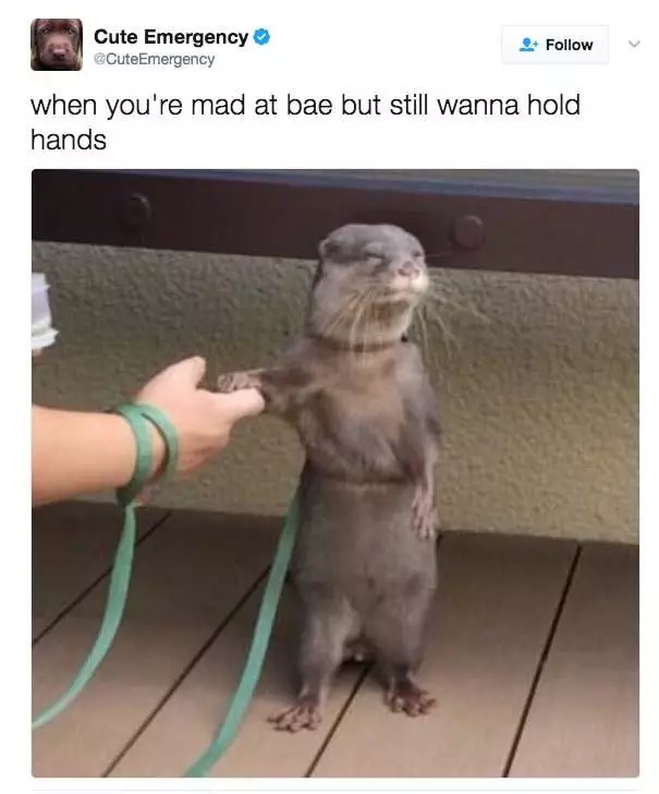20 Hilarious Relationship Memes To Share With Your Partner
