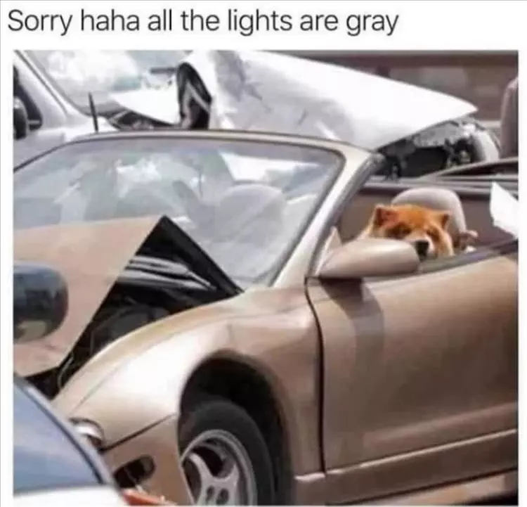 Top 35 Funny Animal Memes Of The Day 60803De53Bd03