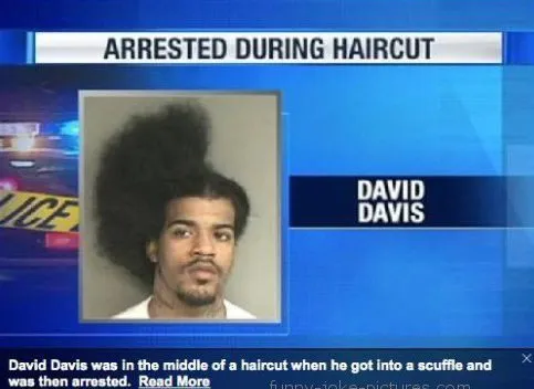 15 Funny News Memes That Will Leave You Scratching Your Head 