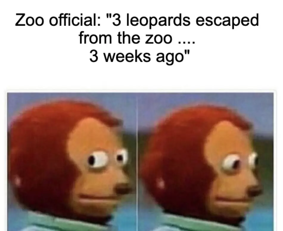 Zoo Announces That 3 Leopards Escaped Zoo 3 Weeks Ago Meme