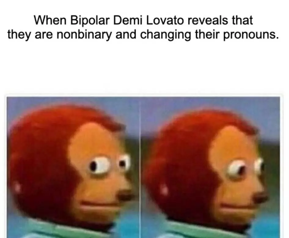 Demi Lovato Nonbinary Meme
