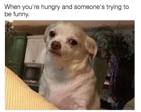 20 Hilarious Food Memes For All Food Lovers