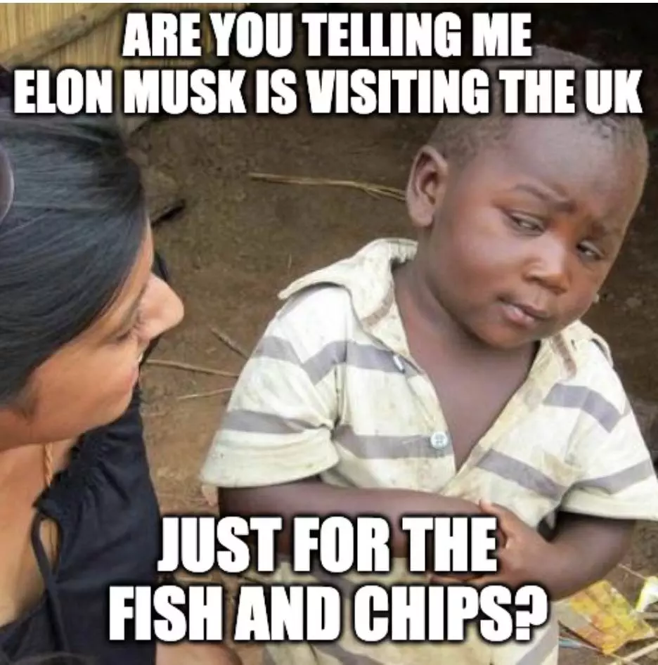 Elon Musk Uk Visit Spurs Tesla Plant Rumor Meme