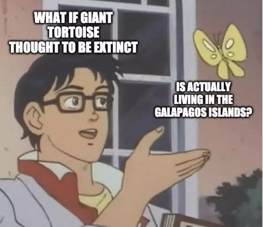 Extinct Giant Tortoise Living In Galapagos Meme