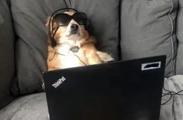 20 Hilarious Zoom Memes To Share With Peers