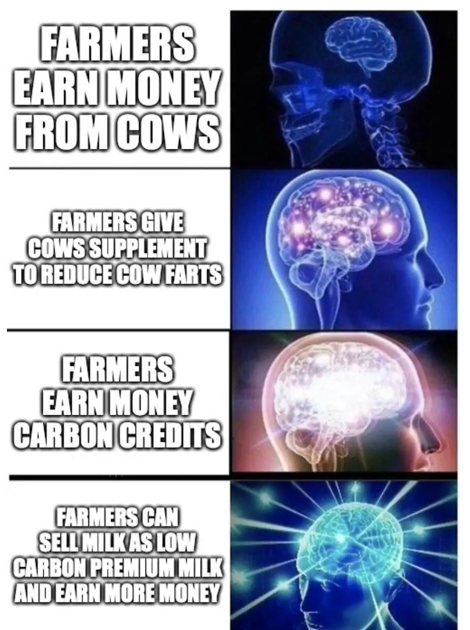Low Carbon Cow Meme