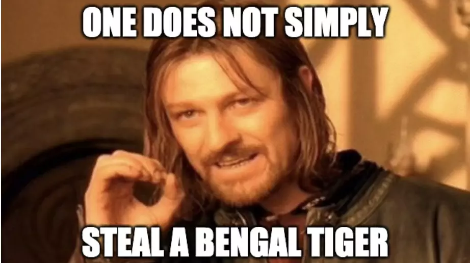 Stolen Tiger Meme