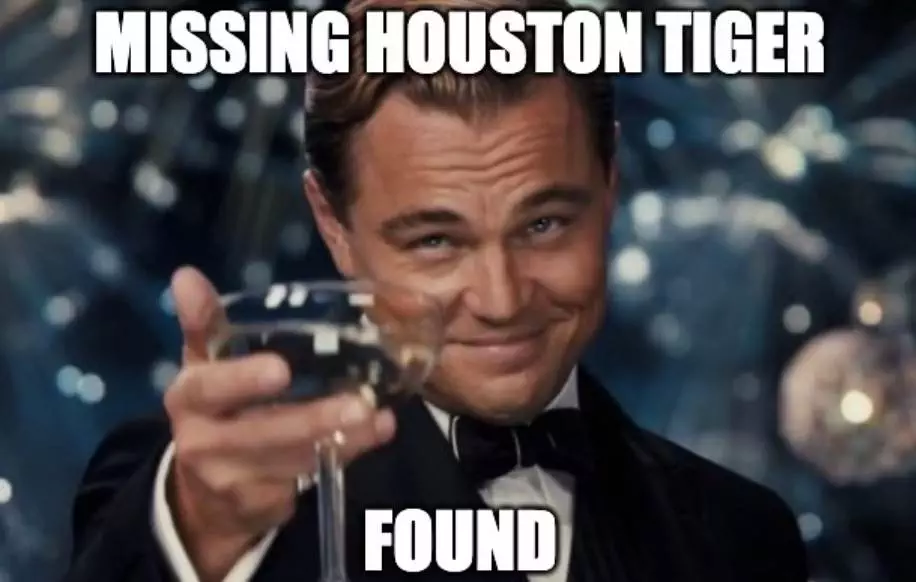 Missing Tiger Meme