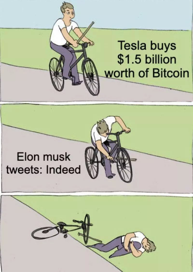 Elon Musk Crypto Meme