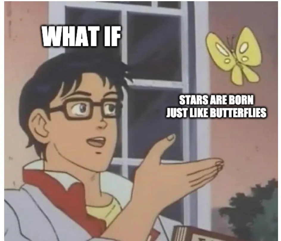 Star Is Born Meme