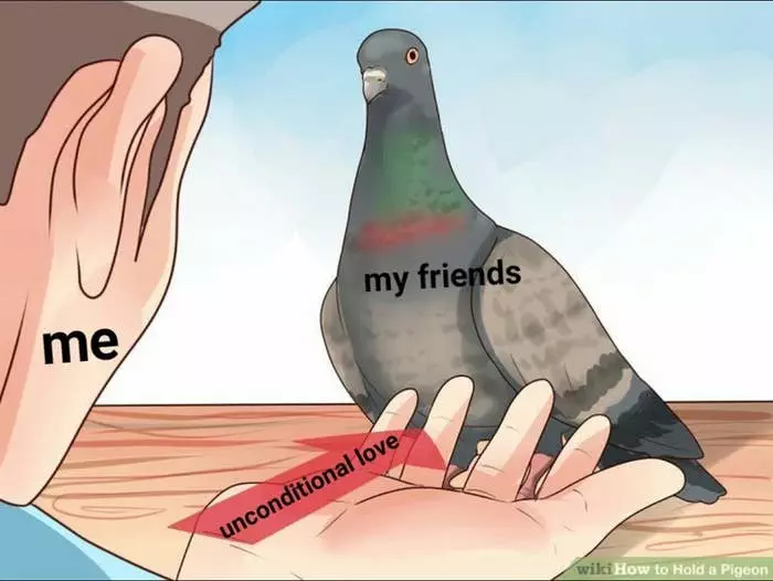 22 Cute And Wholesome Memes To Share With Friends