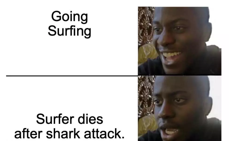 Surfer Dies After Shark Attack Meme