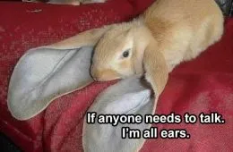 The Funniest Animal Memes Of The Week 50 Pics 6097F8Dc55A8A E1620674401787