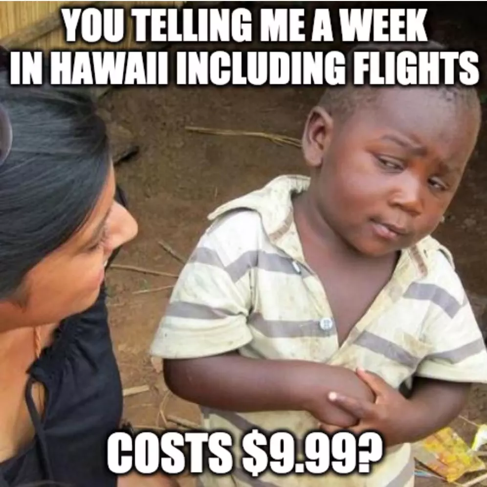 Travel Scams Are Back Meme