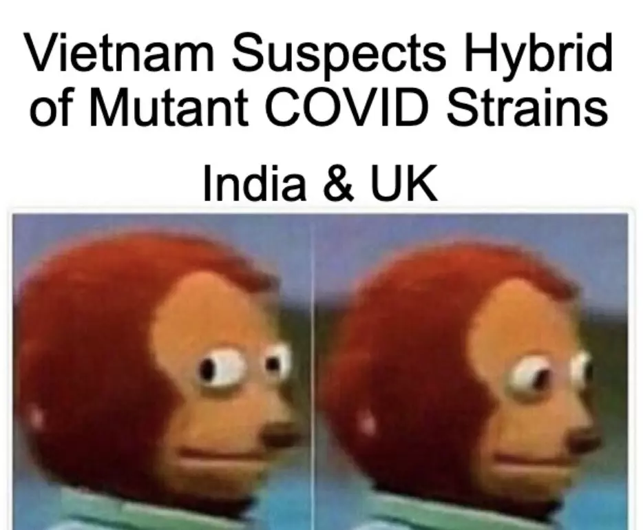 Vietnam Detects India Uk Covid Hybrid Meme