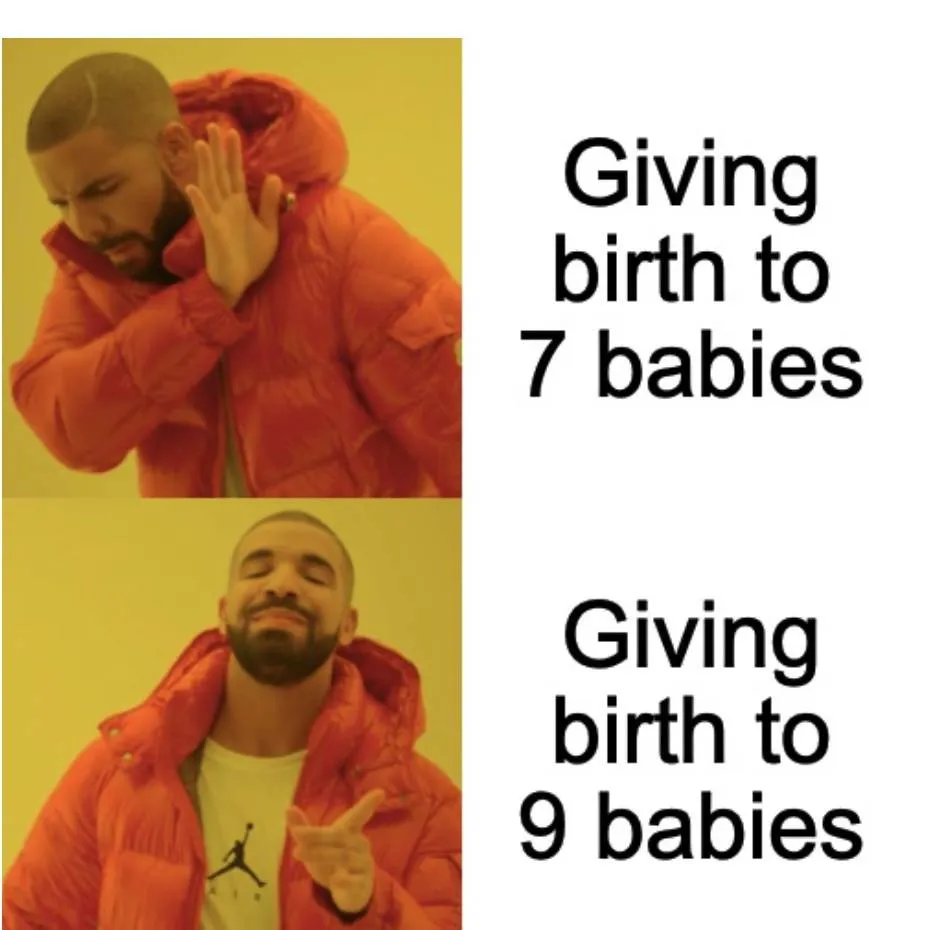 Woman Gives Birth To 9 Babies Meme