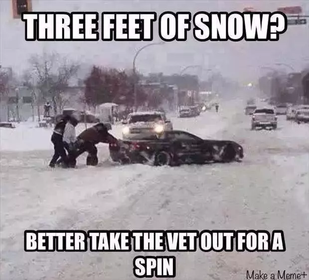 20 Winter Fun Memes To Laugh At