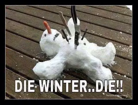 20 Winter Fun Memes To Laugh At