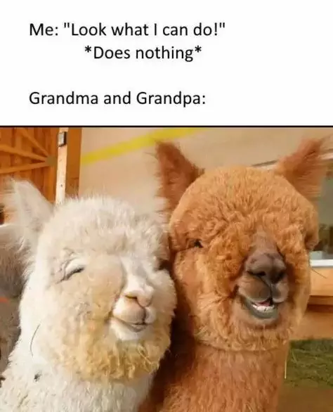 15 Warm And Fuzzy Memes That Will Brighten Up Your Day