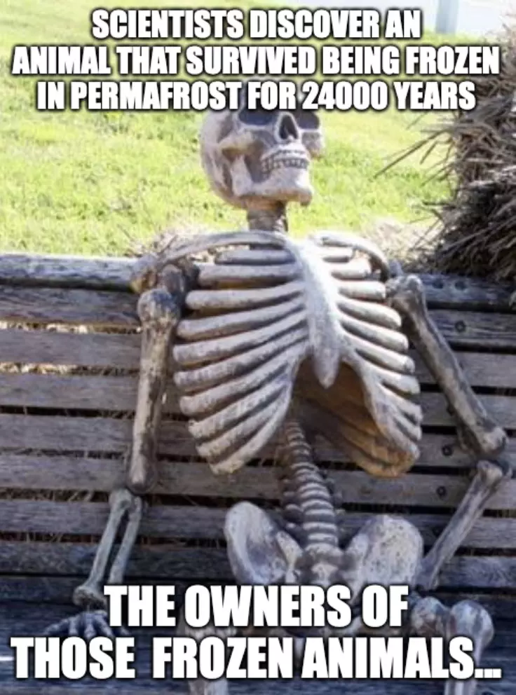 Animals Survive 24000 Years In Permafrost Meme