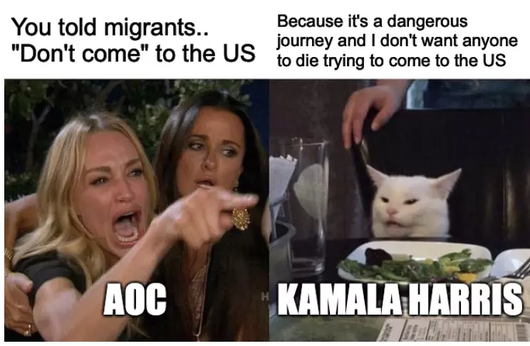 Aoc Kamala Harris Cat Fight Meme