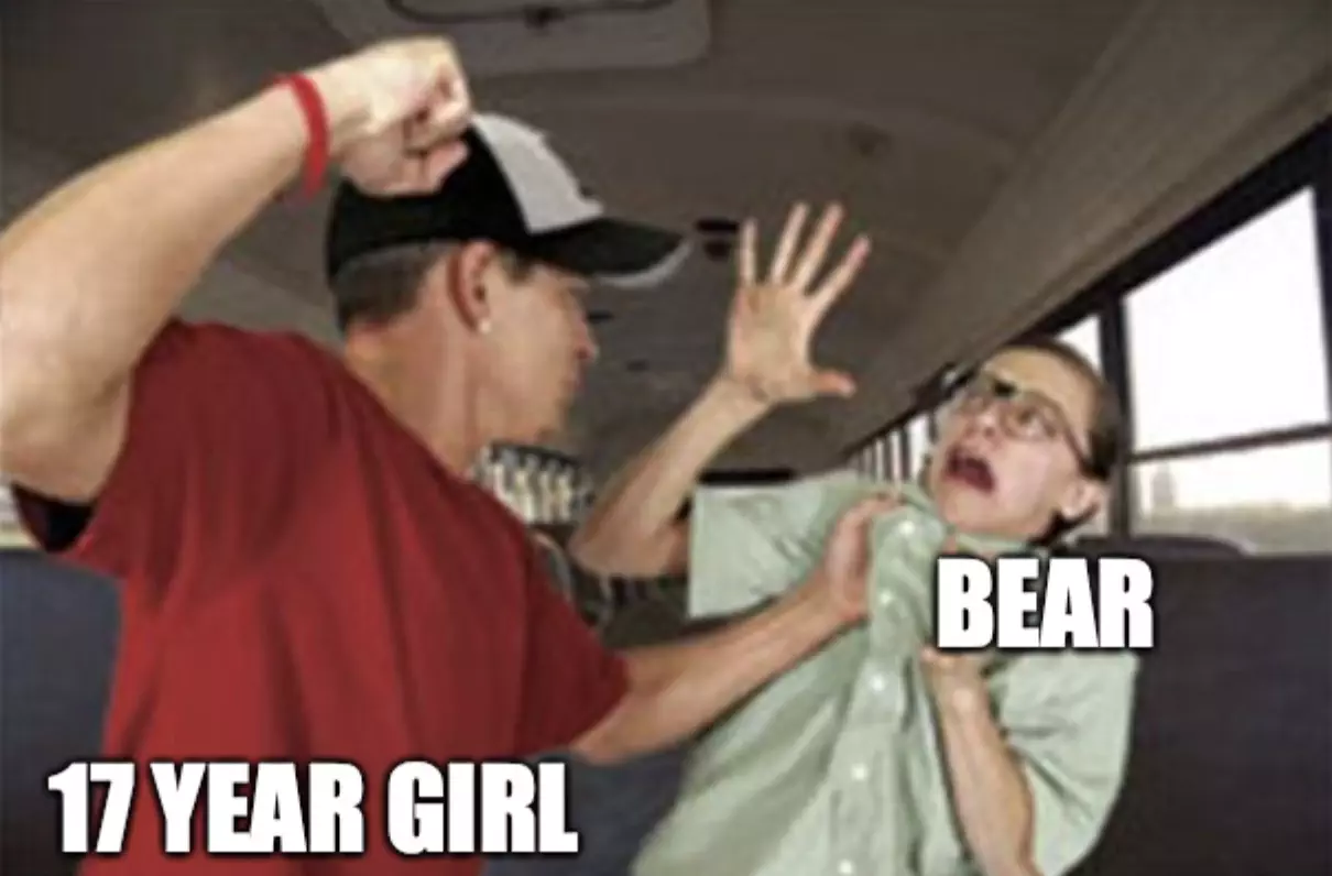 Bear Vs 17 Year Old Girl Meme