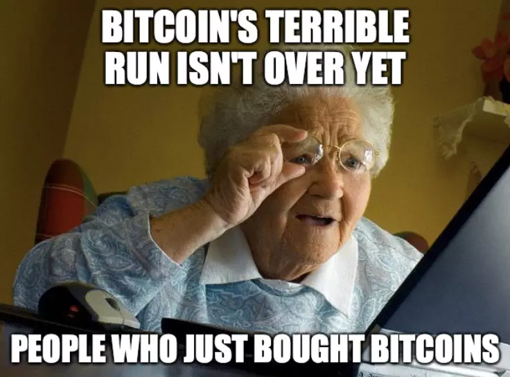 Bitcoin Crash Not Over Meme