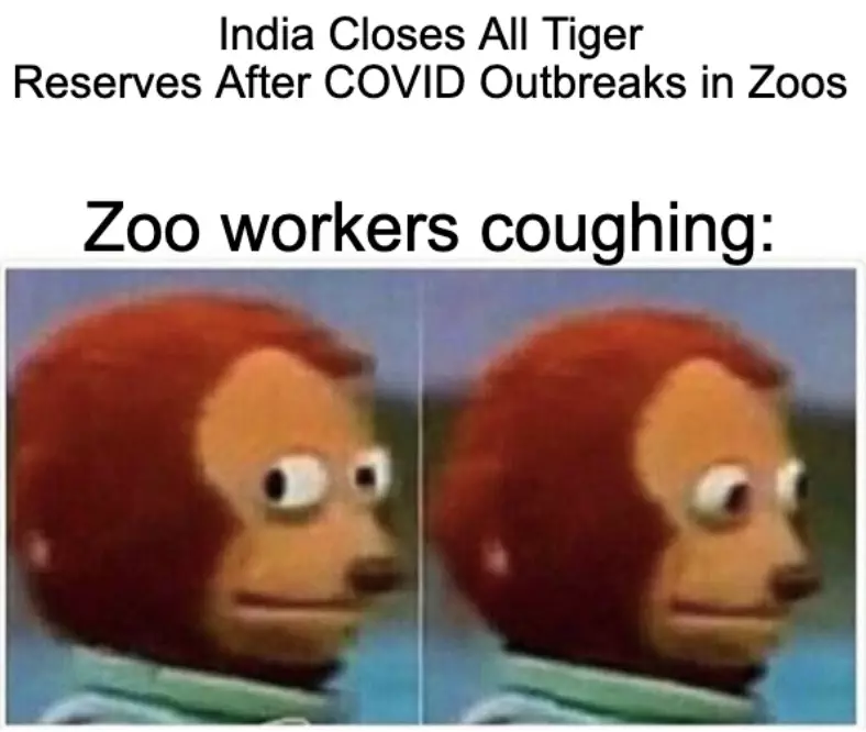 Covid Outbreak In Indian Zoos Meme