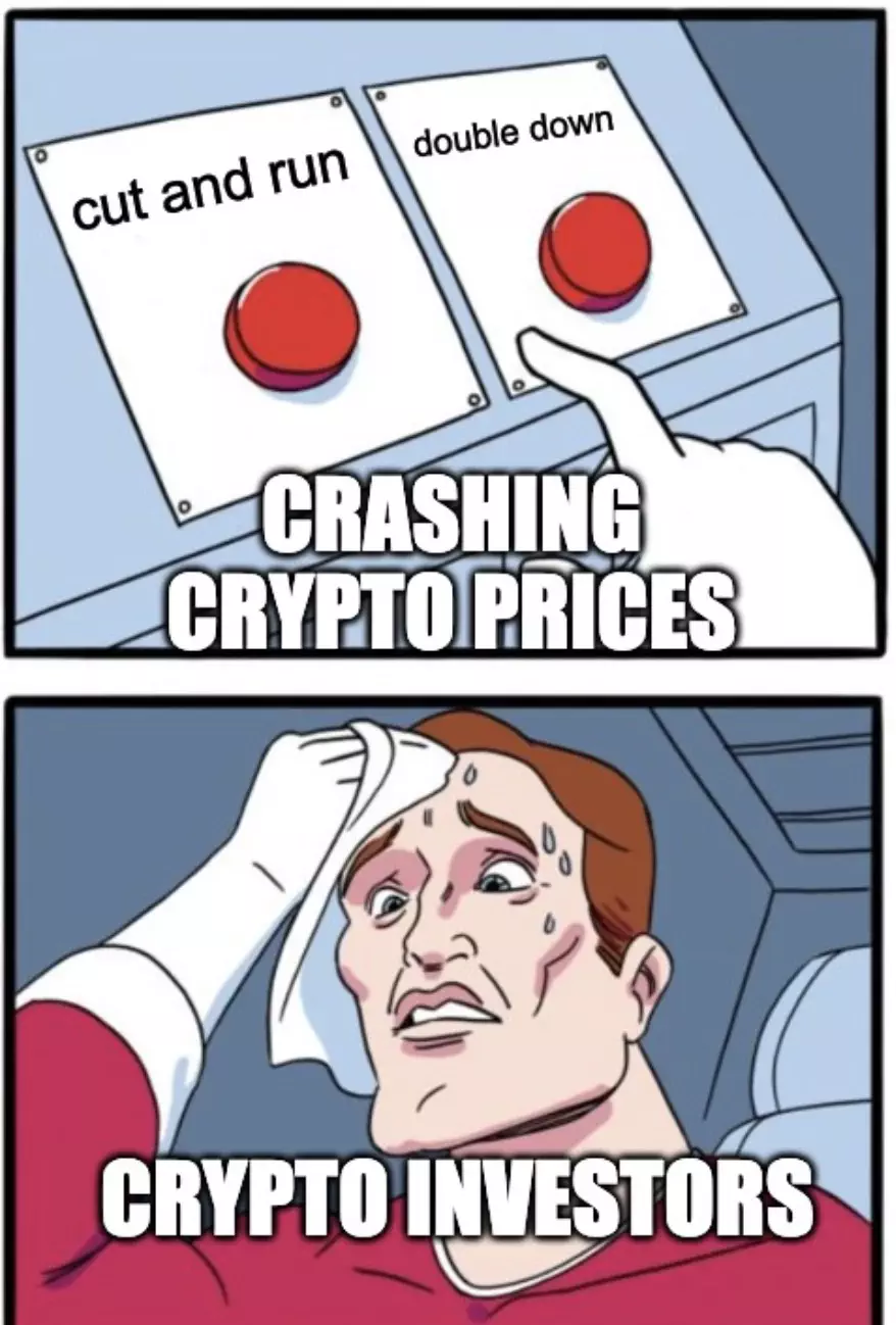 Crashing Crypto Prices Meme