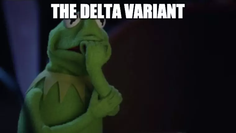 Delta Variant Meme