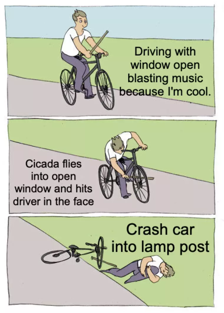Driver Crashes Car Due Cicada Meme