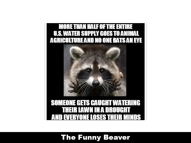 Drought Memes 10 1