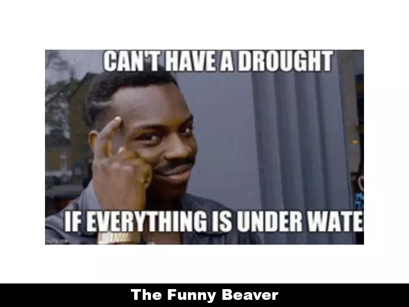 Drought Memes 17 1