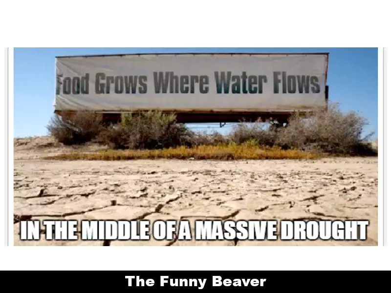 Drought Memes 3 1