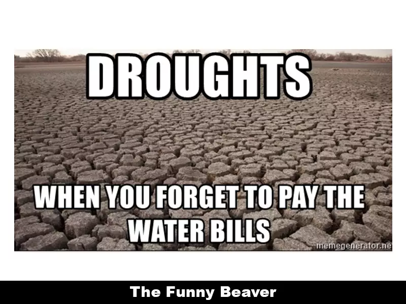 Drought Memes 7 1