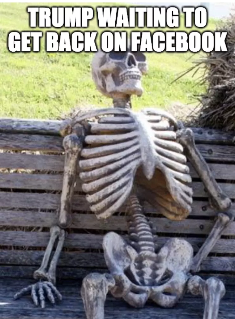 Facebook Bans Trump Till 2023 Meme