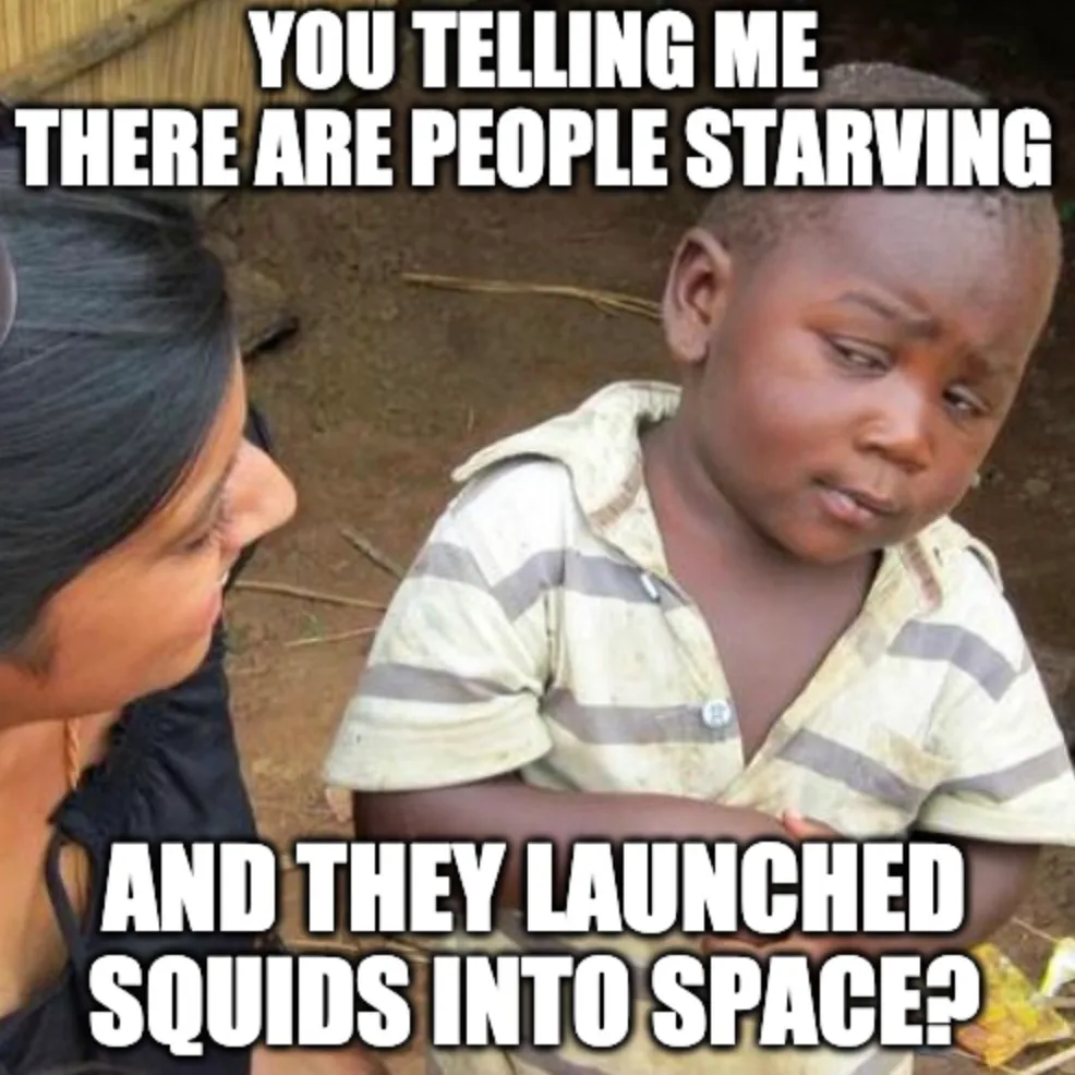 Squids In Space
