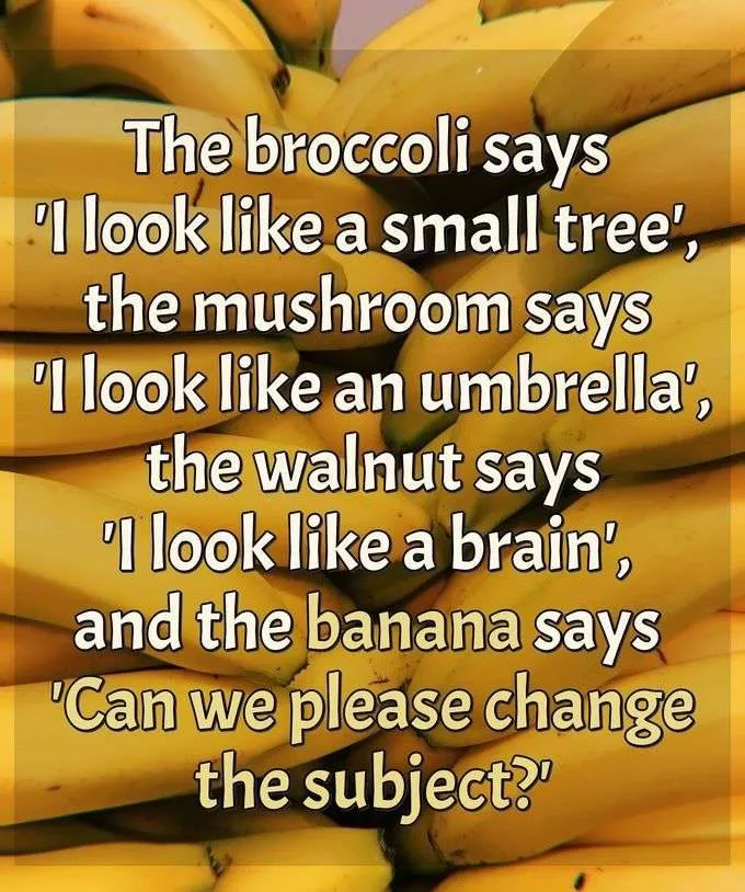  20 Extremely Funny Quotes To Start Your Day With 