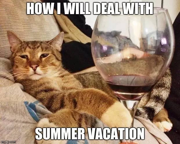20 Of The Funniest Summer Holiday Pet Pictures