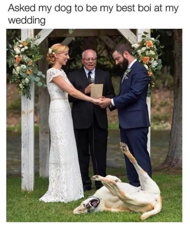 15 Funny Memes For Newly Wed Couples