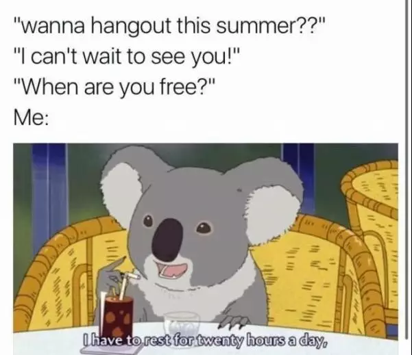 20 Funny Summer Friendship Memes