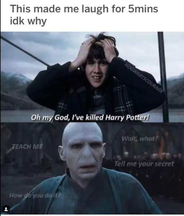 20 Funny Harry Potter Memes You Must See