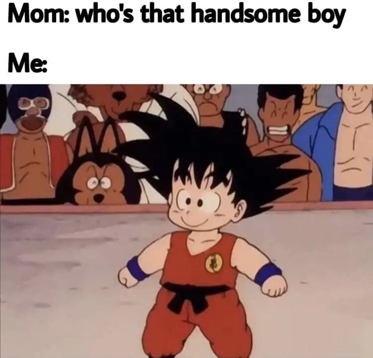 20 Hysterical Dragon Ball Z Memes For Dbz Fans 