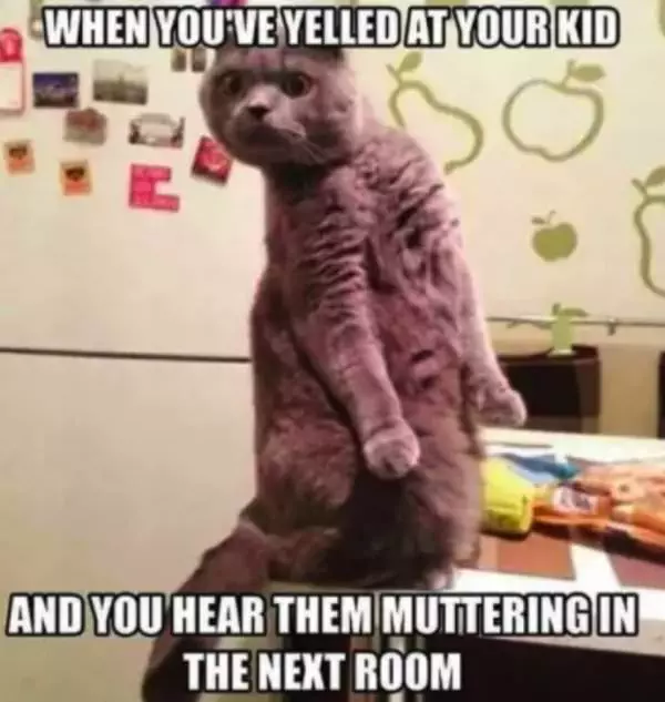 30 Extremely Funny And Relatable Memes For Parents