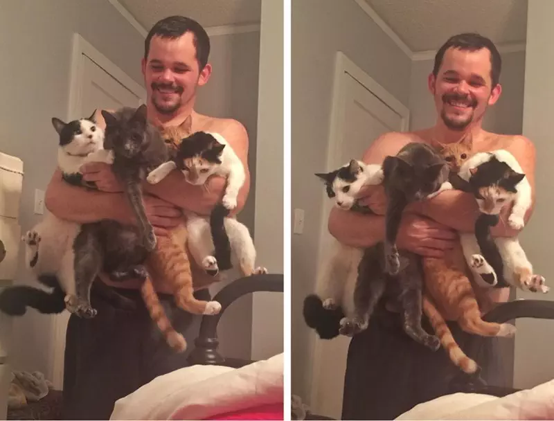 25 Cute And Funny Cat Pictures For Cat Parents